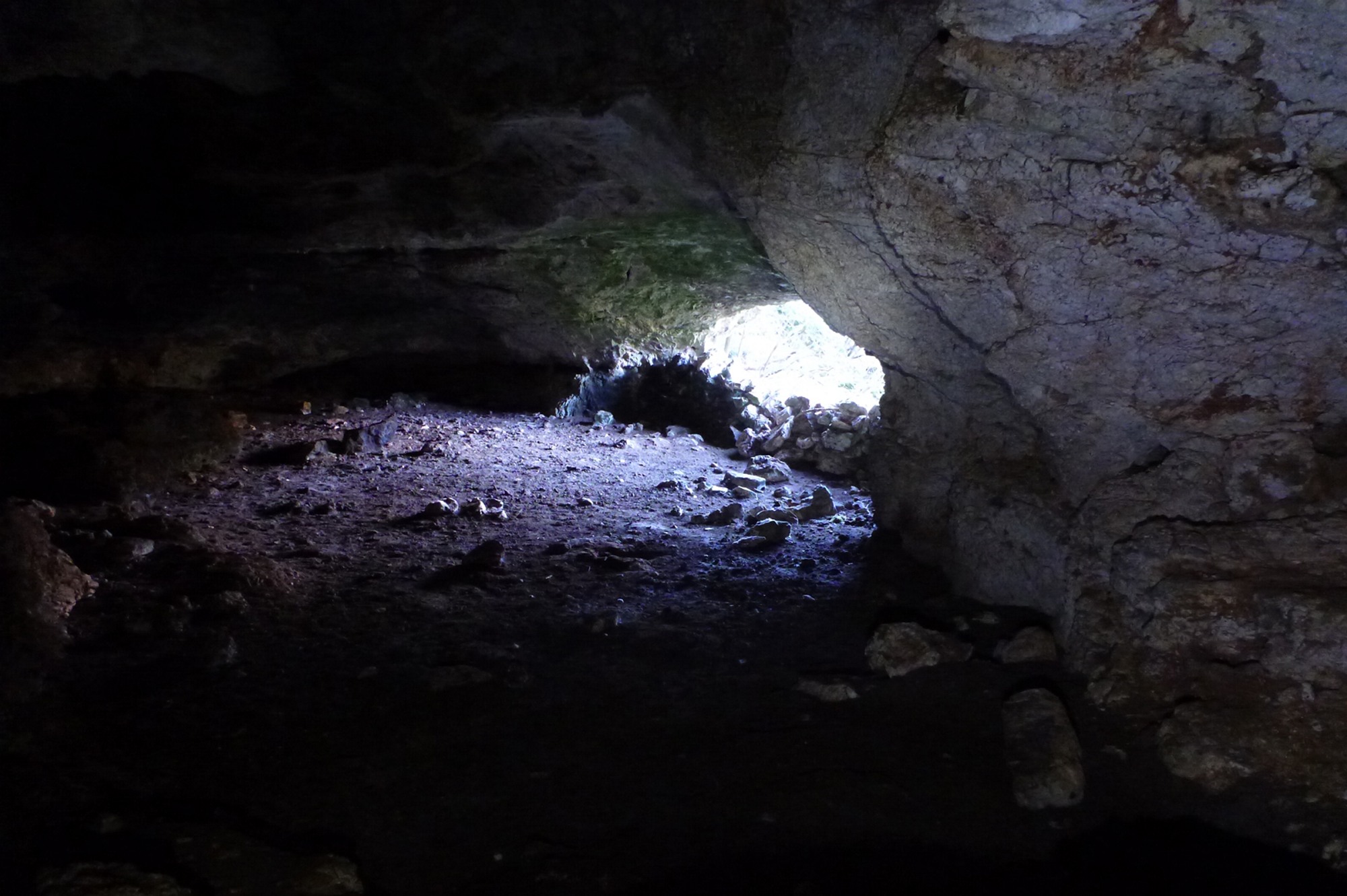 Grotta del Brigante, interno